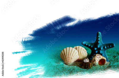 sea shells and starfish