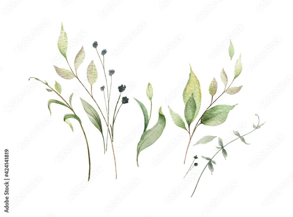 Fototapeta premium Watercolor vector composition of green branches and leaves.