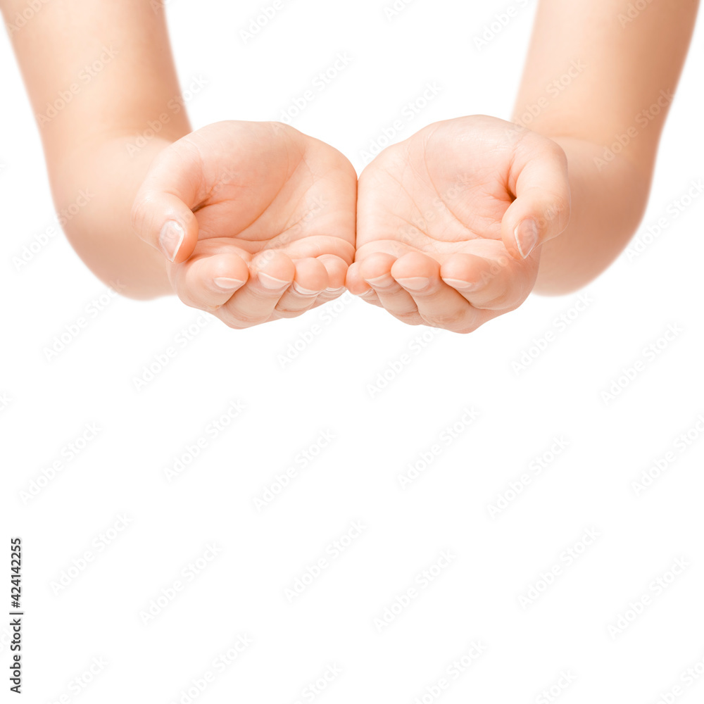 何かを受け取るような女性の手 Stock Photo Adobe Stock