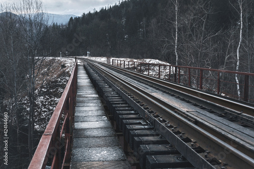 Railway bridge among snowy mountains. Travels. Transport.