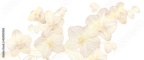Luxury Gold orchid background vector. Golden orchid line arts design for wallpaper, wall arts, fabric, prints and background texture, Vector illustration.