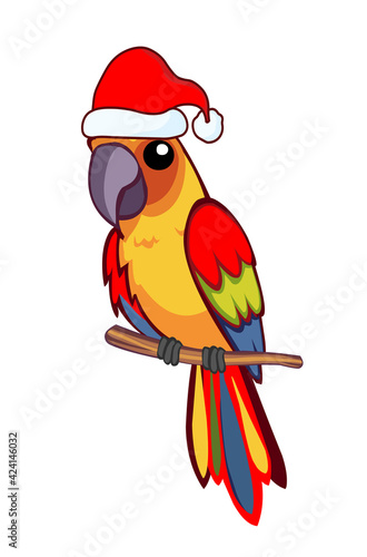 Parrot with christmas cap
