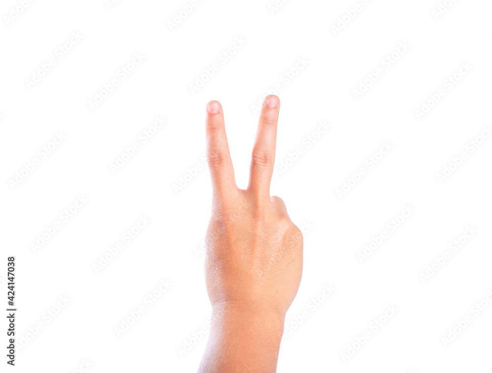 The gesture of the hand. Two fingers raised up. Hand showing victory sign(v sign) on white background. The gesture of the hand. Two fingers raised up. Hand showing victory sign(v sign) on white background.