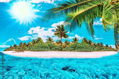 Fototapeta Naklejka Na Ścianę i Meble -  Whole tropical island within atoll in tropical Ocean on a summer day. Uninhabited and wild subtropical isle with palm trees. Equatorial part of the ocean, tropical island resort.