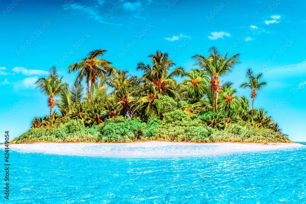 Obraz premium Whole tropical island within atoll in tropical Ocean.