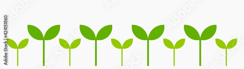 Plants seedlings border. Green spring plants, flat design.