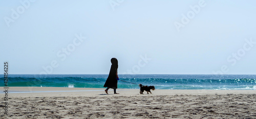 A woman and her dog walk in the beach with sea and the clear sky in the background