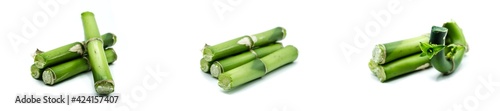 Collection bamboo isolated on white background