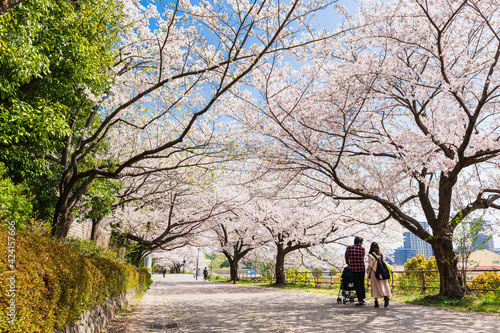 Obraz na płótnie 桜・春・家族 イメージ w salonie