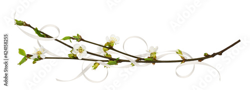 Spring cherry twigs with small flowers and satin ribbons