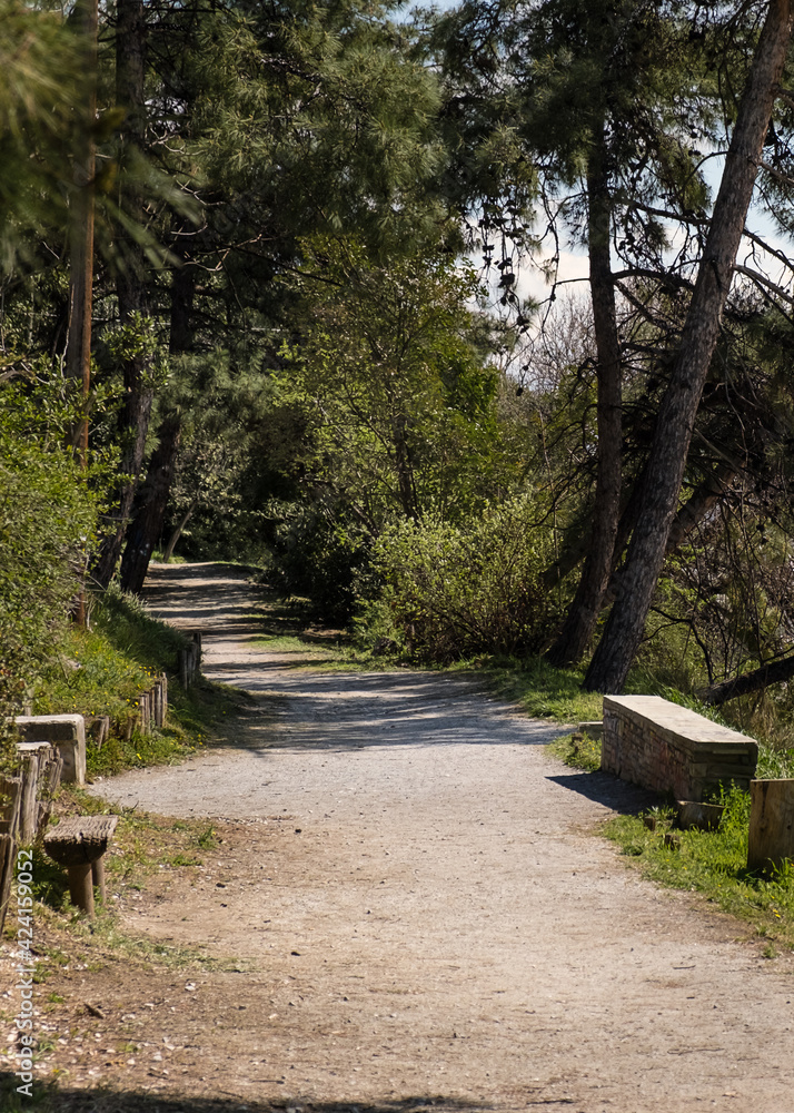 Pathway in empty park at daytime, vertical view. Park alley during the coronavirus  pandemic. Greece