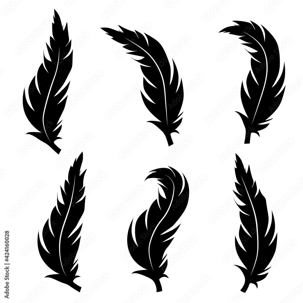 Collection of feather illustration, drawing, engraving, ink line art