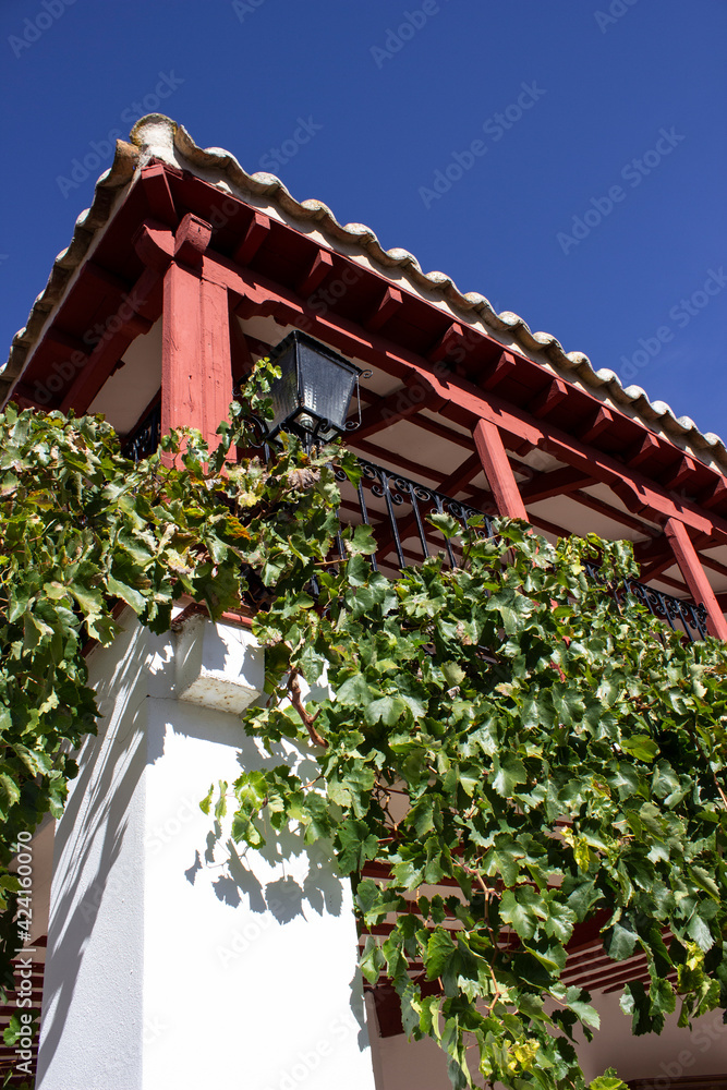 Detail of a balcony in a typical rural house in La Mancha, in the Quixote route at Ciudad Real, Spain
