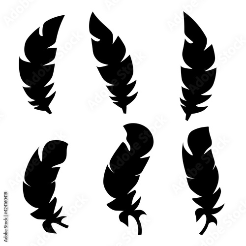 Collection of feather illustration, drawing, engraving, ink line art