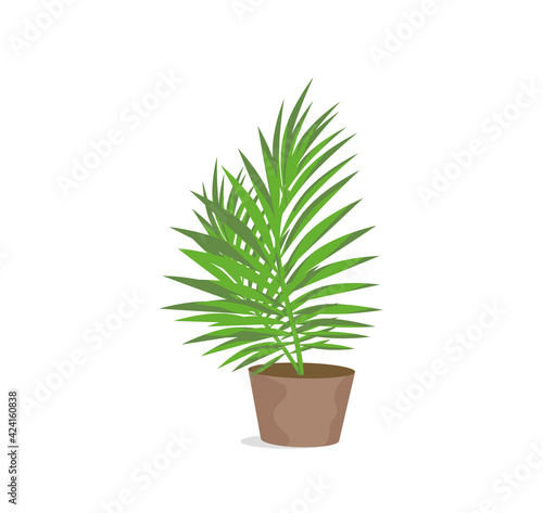 Decorative indoor flower in a pot. An interior item. Design element, layout, illustration, print. Vector illustration.