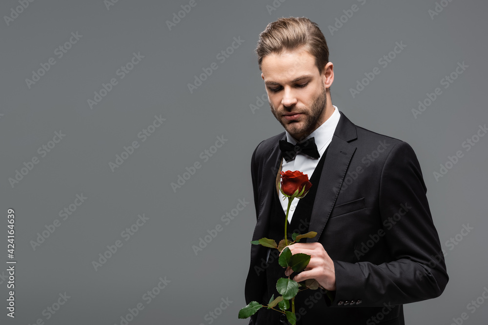 businessman in bow tie holding red rose isolated on grey businessman in bow tie holding red rose isolated on grey