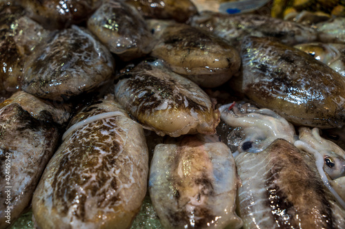 Cuttlefishes on ice in a food market photo