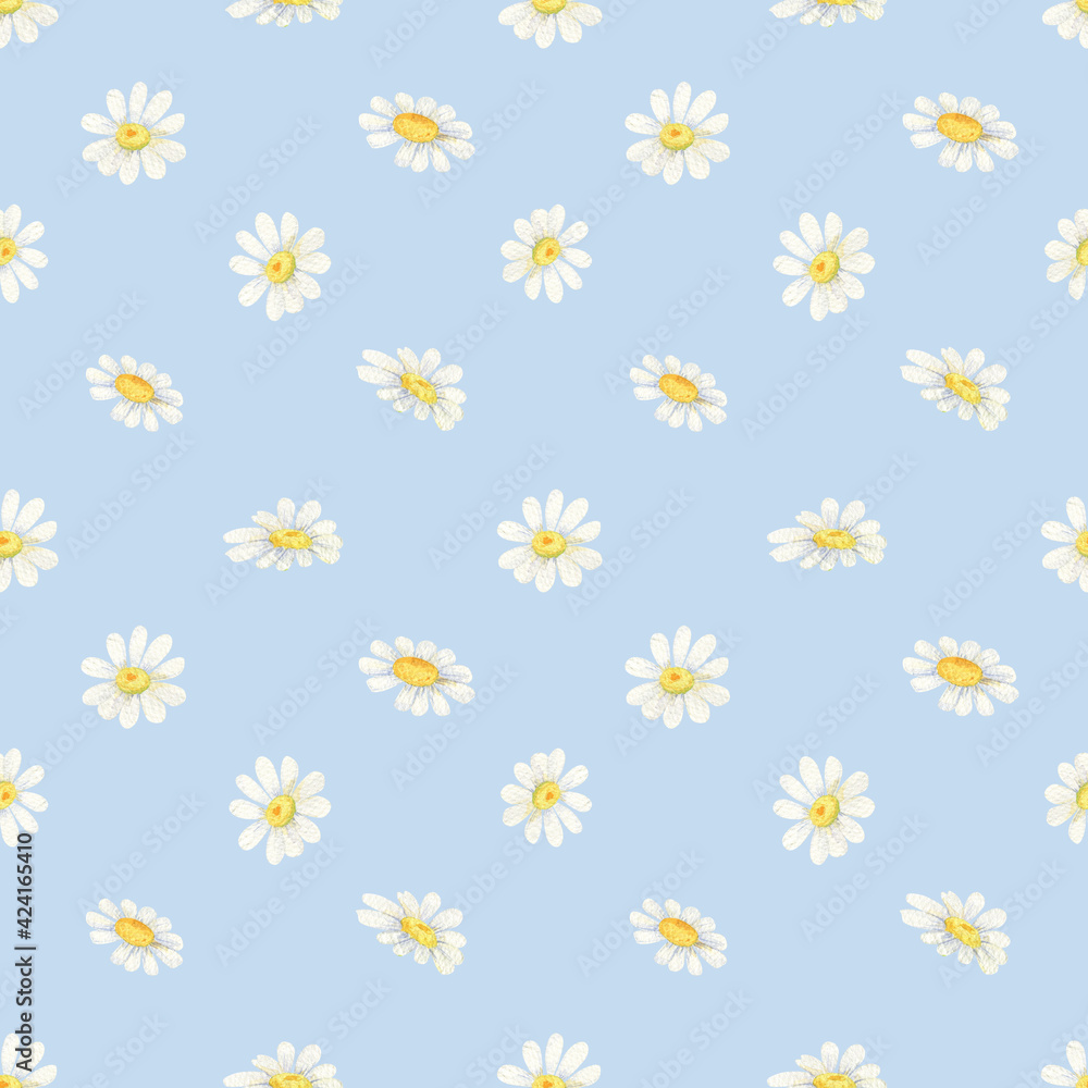 White daisy seamless pattern. Watercolor wildflowers on sky-blue background