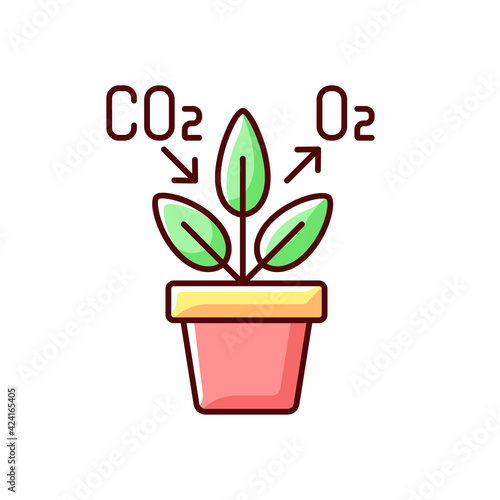 Air purifying plant RGB color icon. Plants clean the air through the process of photosynthesis. Oxygen level increasing for people to breath. Isolated vector illustration
