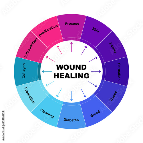 Diagram concept with Wound Healing text and keywords. EPS 10 isolated on white background