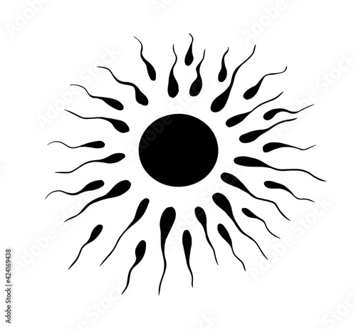 Egg and sperm. Vector illustration