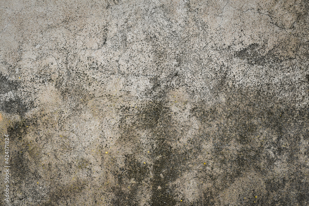 Surface of an old concrete wall Surface of an old concrete wall