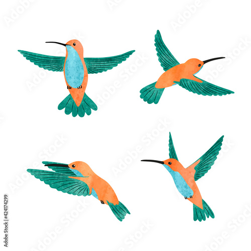 Cute hummingbird set. Vector watercolor illustration of small tropical birds.