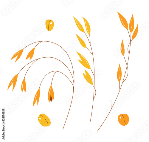 Hand drawn set of oats, oatmeal, oat grain. Stock vector isolated on white background. Healthy food design.
