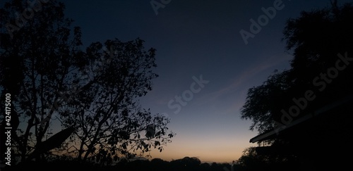 sunset in the forest