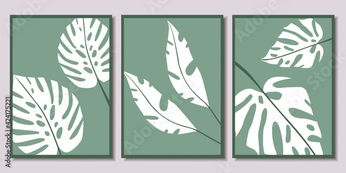 Set of beautiful posters with tropical plants. Modern Art. Vector illustration