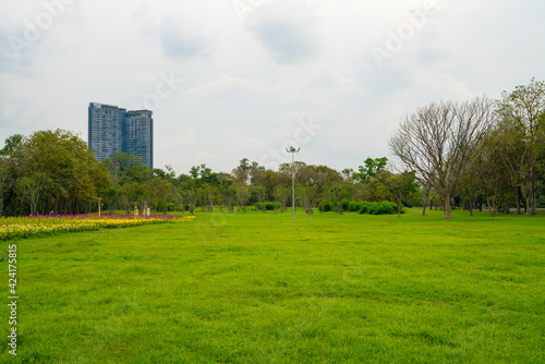 Green meadow grass in city public park sky witrh cloud