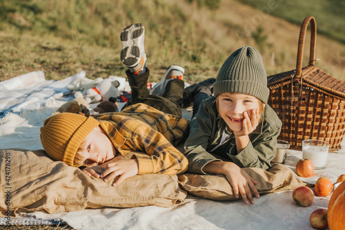 two boys on a picnic. brothers have fun, play lying on a blanket on the grass in nature. 