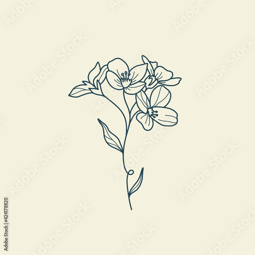 Wildflower Botanical logo outline drawing. Minimal floral vintage style. Doodle plant vector illustration. Pure nature organic brush. Line drawing. Botanical floral badge. Eco product emblem.