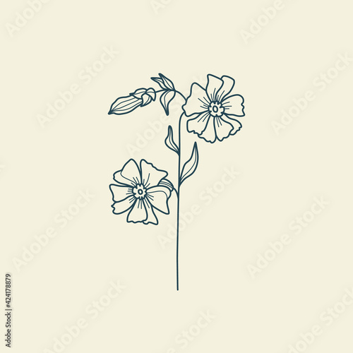 Wildflower Botanical logo outline drawing. Minimal floral vintage style. Doodle plant vector illustration. Pure nature organic brush. Line drawing. Botanical floral badge. Eco product emblem.