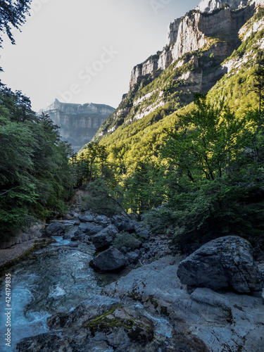 Un torrente baja atravesando los bosques de coníferas y hayas que suben por las laderas de origen glaciar del Parque Nacional de Ordesa, en los Pirineos españoles