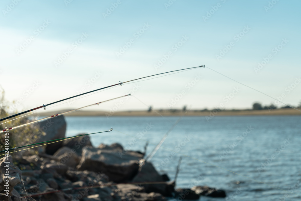 Several fishing rods fishing on the shore of a lake.