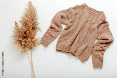 Knitted soft beige sweater on hanger with reed branch. Warm stylish homewear winter spring outfit brown warm knitted sweater with cortaderia branch flower pampas grass. Cashmere sweater fly on white