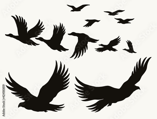 Flying birds silhouettes vintage concept