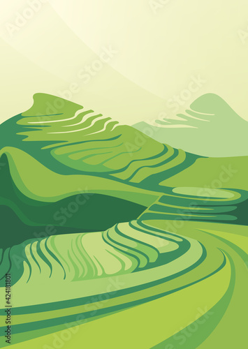 Landscape with rice terraces. Beautiful agricultural scenery.