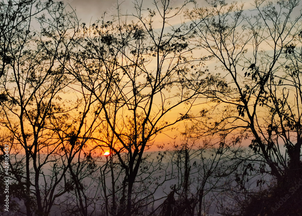 Tramonto sui monti e le colline dell’Appennino visto da dietro ai rami degli alberi Tramonto sui monti e le colline dell’Appennino visto da dietro ai rami degli alberi
