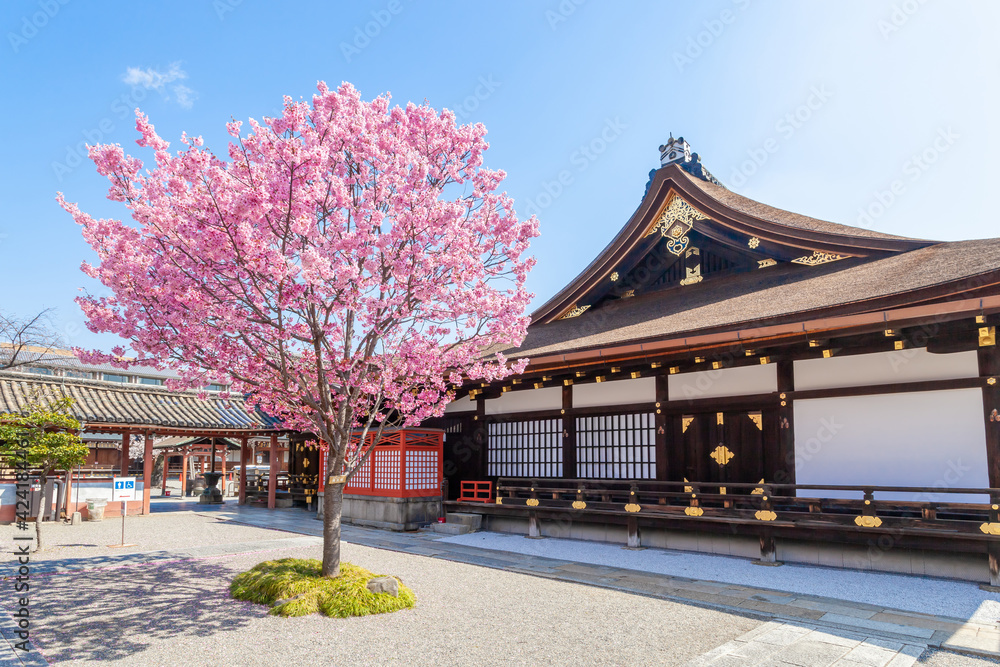春の京都　東寺