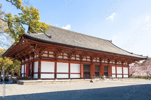 春の京都 東寺