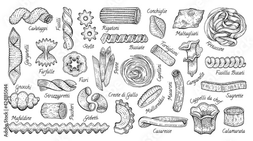 Italian Pasta. Vector food sketch icon set. Doodle macaroni illustration. Hand drawn cooking collection. Pasta Fettuccine Fusilli Gobetti Rigatoni Capellini Conchiglie Tortiglioni Penne Farfalle Fiori