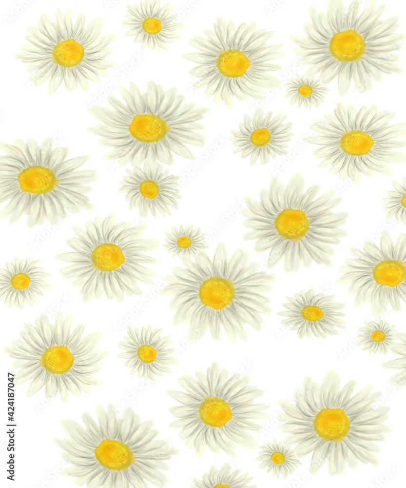 pattern with white daisies pattern with white daisies