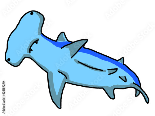 泳いでいるシュモクザメ