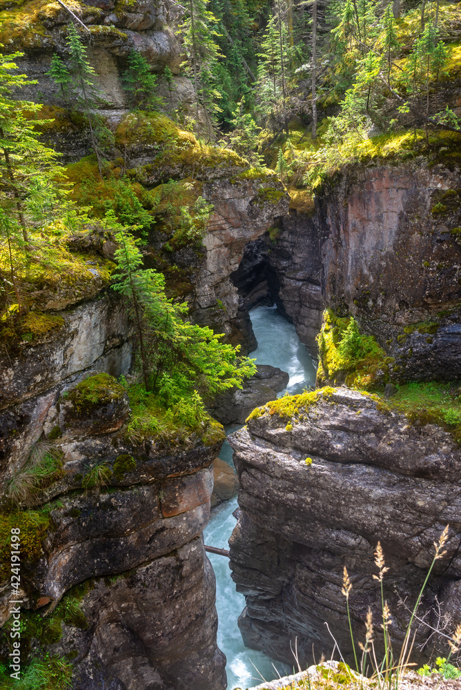 Athabasca falls in Jasper National Park, Rocky Mountains, Alberta, Canada