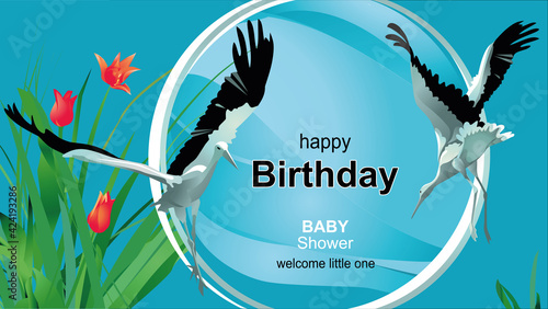 Two beautiful storks on a blue background.