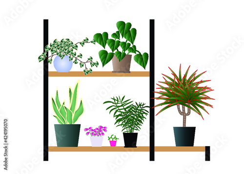 Obraz na płótnie kwiaty, kwiaciarnia, regał, szafka, pasja, zieleń, rośliny, przyroda, palma, dracena, filodendron, wiosna w salonie
