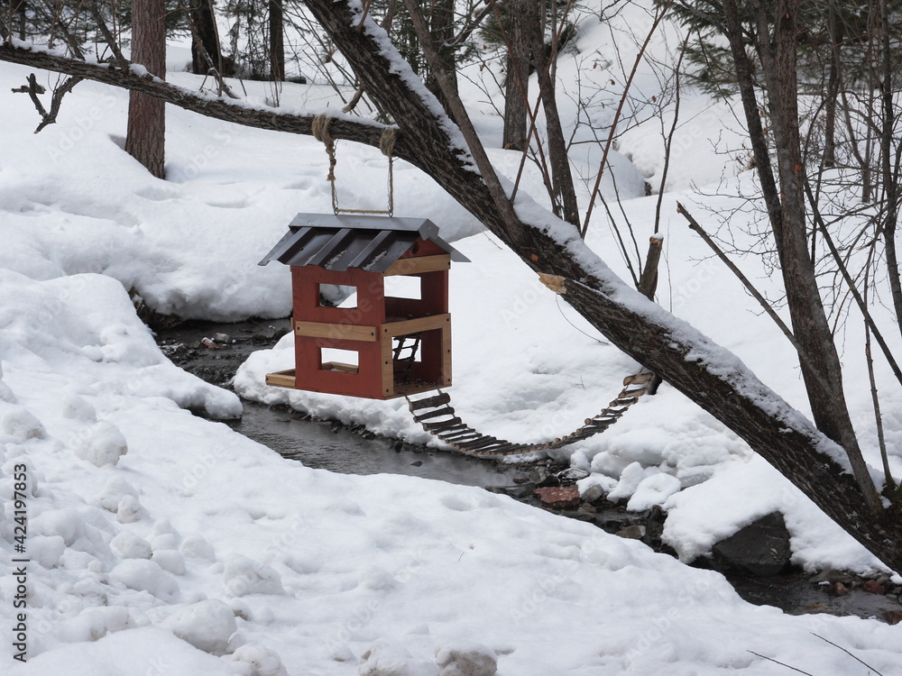 Beautiful wooden bird feeder in the winter forest. Beautiful wooden bird feeder in the winter forest.