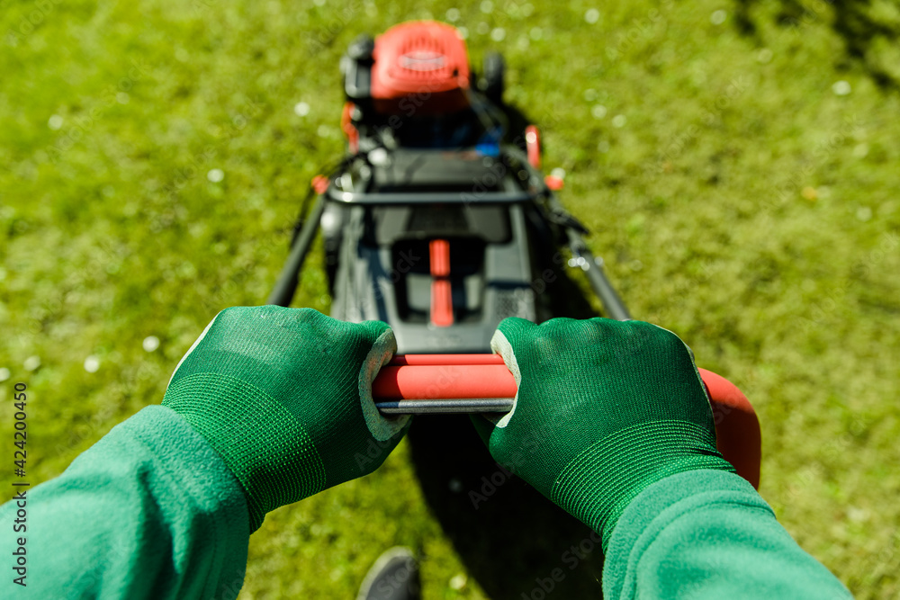 Gardener mows the lawn. two hands push a lawn mower in the garden. Lawn care in spring and summer. Green grass Gardener mows the lawn. two hands push a lawn mower in the garden. Lawn care in spring and summer. Green grass